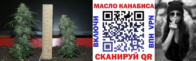 Дистиллят ТГК концентрат  дарнет шоп  Пудож 